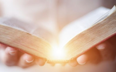 Diese Bücher hätten wir gern früher gelesen.